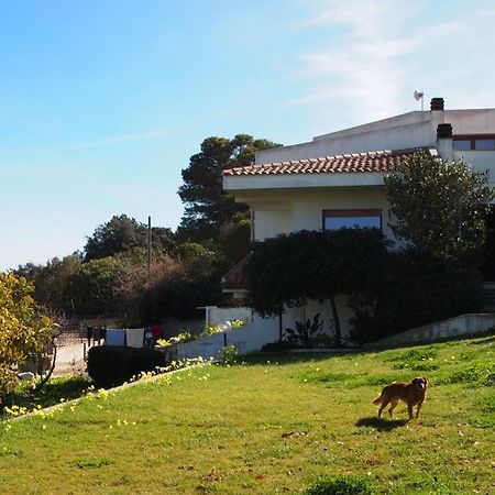 Asinara Villa Sassari Ngoại thất bức ảnh