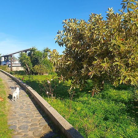 Asinara Villa Sassari Ngoại thất bức ảnh