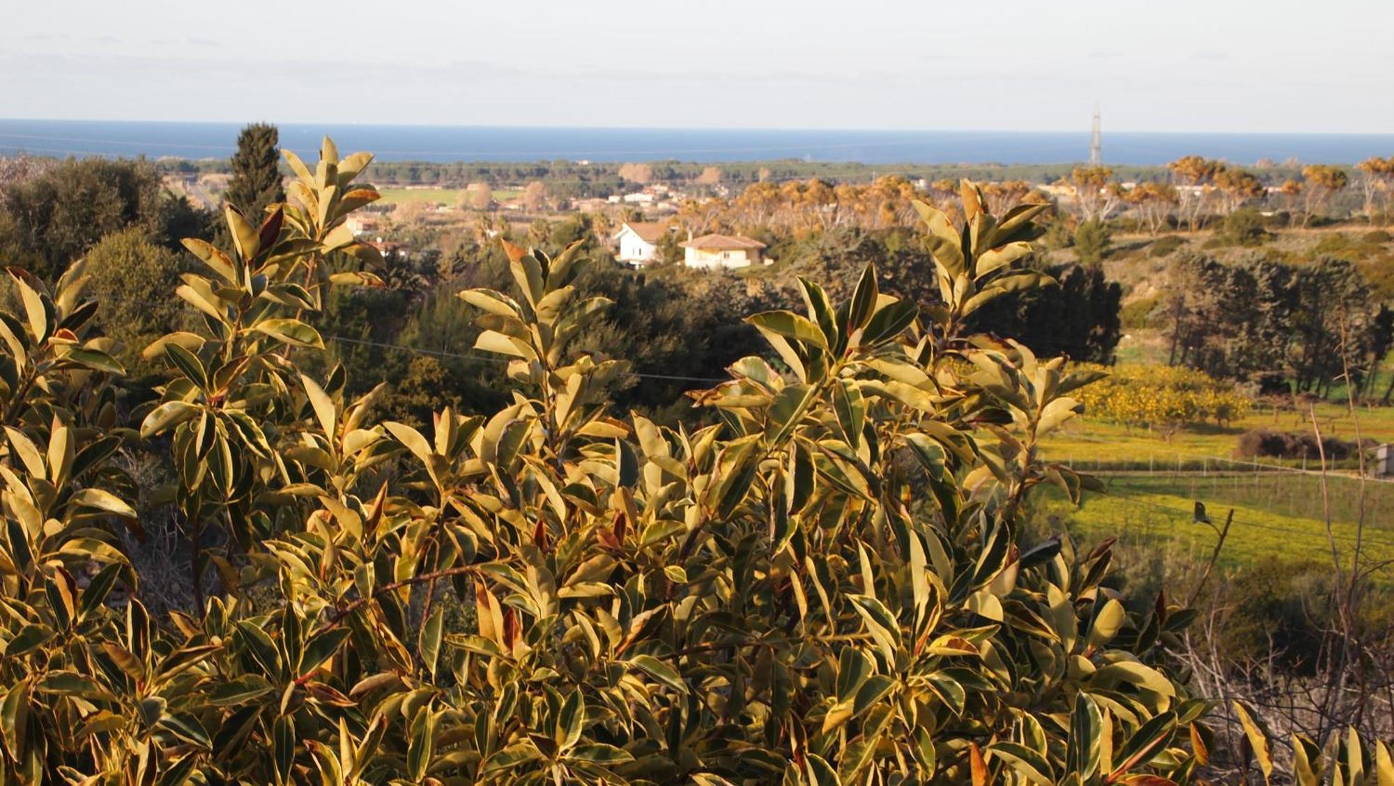 Asinara Villa Sassari Ngoại thất bức ảnh