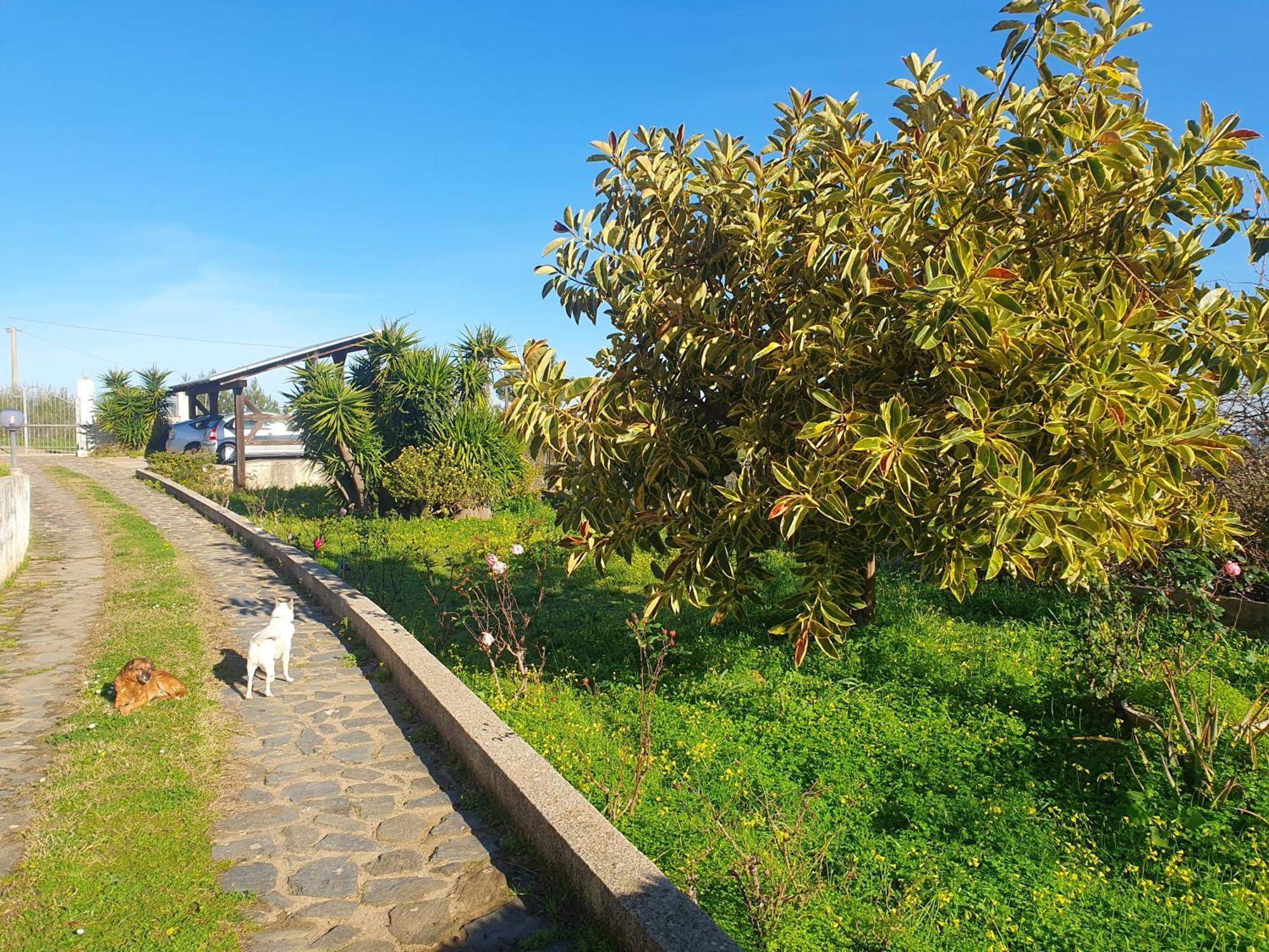 Asinara Villa Sassari Ngoại thất bức ảnh